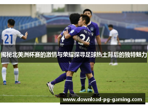揭秘北美洲杯赛的激情与荣耀探寻足球热土背后的独特魅力