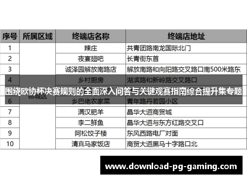 围绕欧协杯决赛规则的全面深入问答与关键观赛指南综合提升集专题